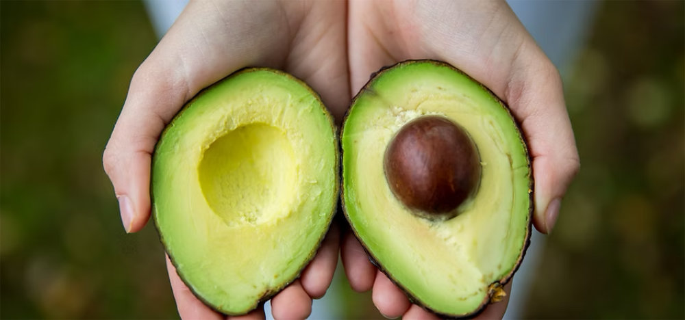 Verein f&uuml;r Lebensmittelrettung und gegen Ressourcenverschwendung e.V. Unterhaching (bei M&uuml;nchen)
Im Februar 2026 &uuml;bernimmt FIDURA 7.236,00 EUR Vereinskosten.